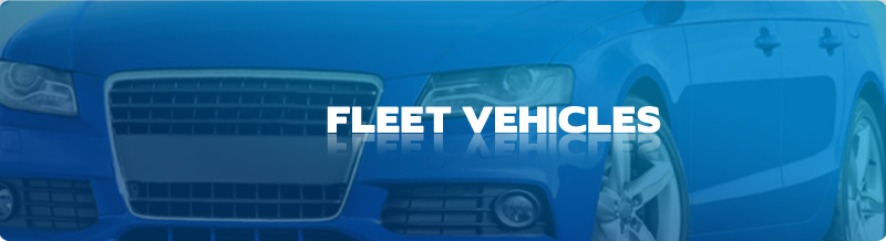 Book Online with Sheltune